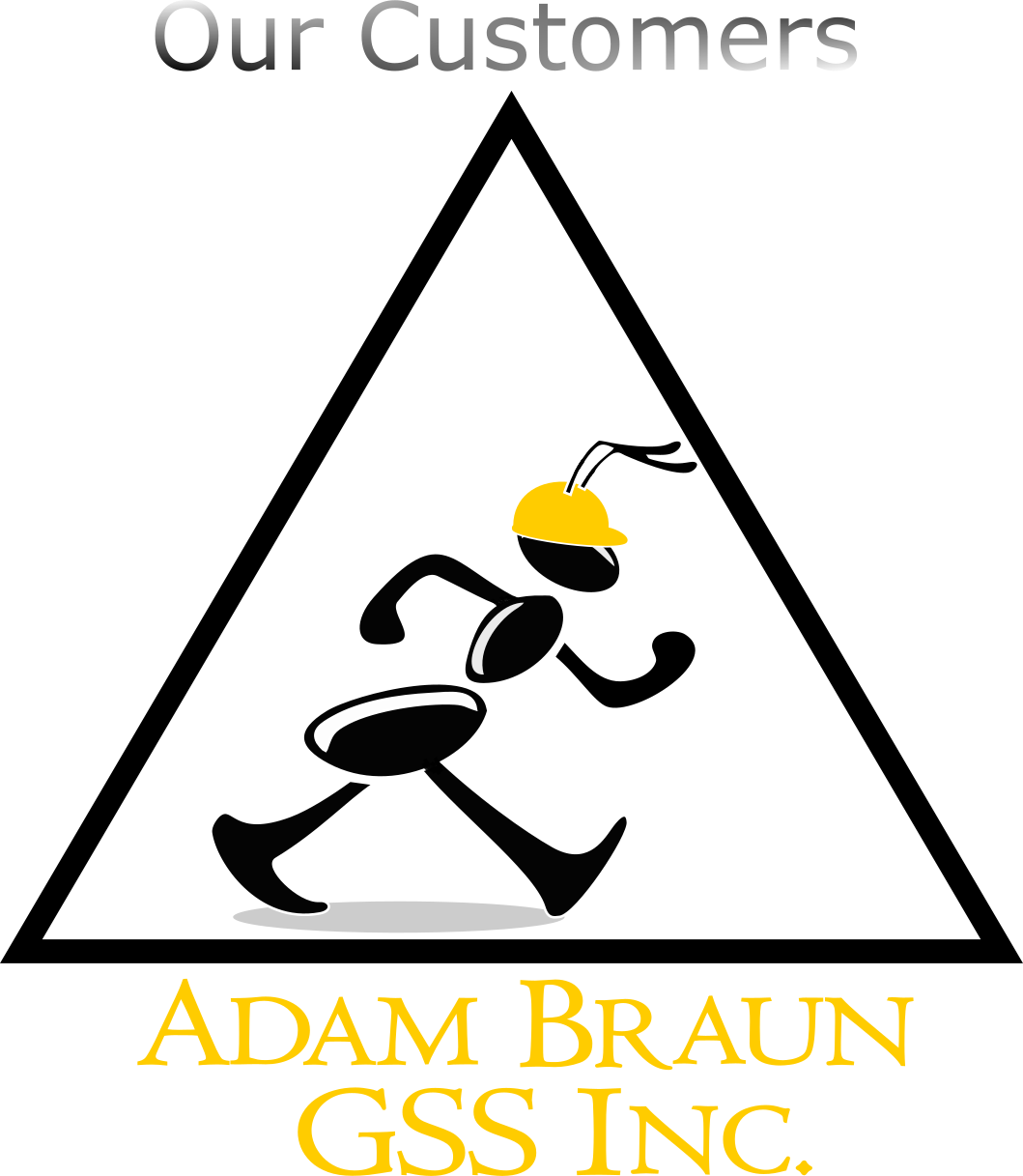 MISSION & VISION AB Consulting GSS, Inc.
